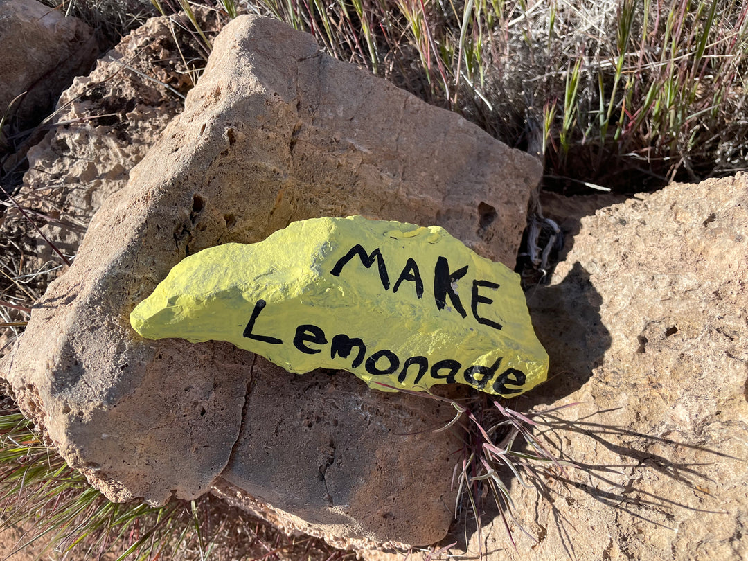 "Embracing Life's Lemons: A Guide to Finding the Good in the Bad"
